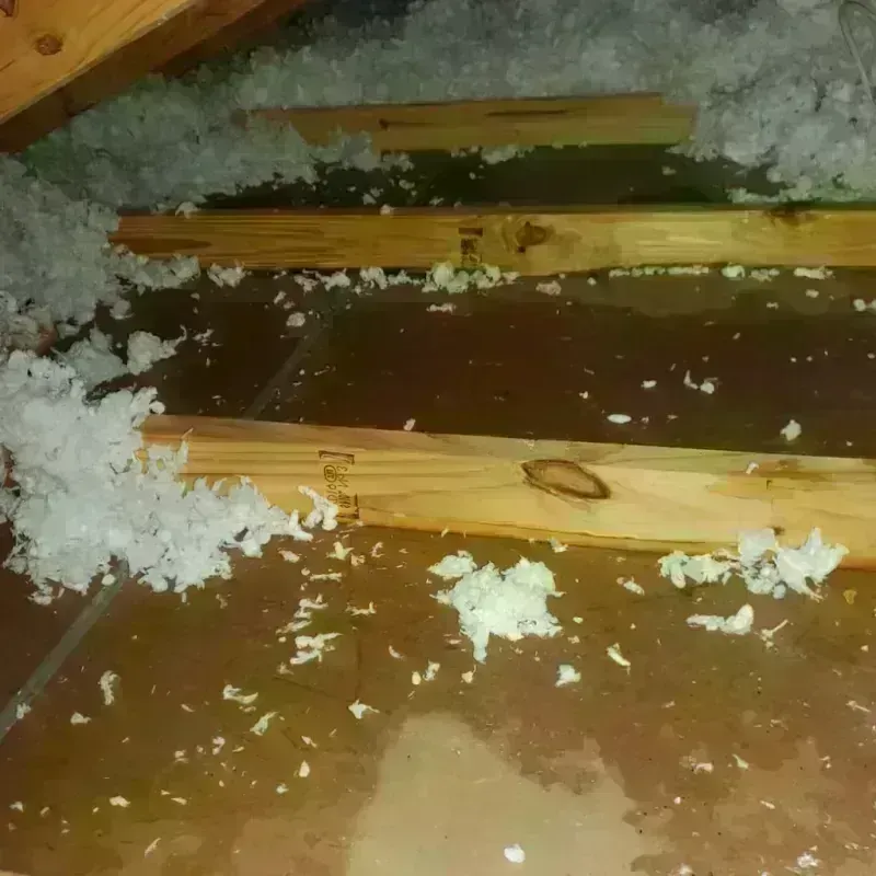 Attic Water Damage in Monroe County, FL